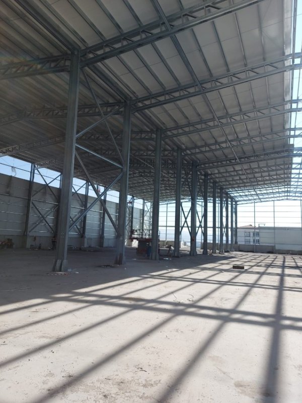 Our Projects
